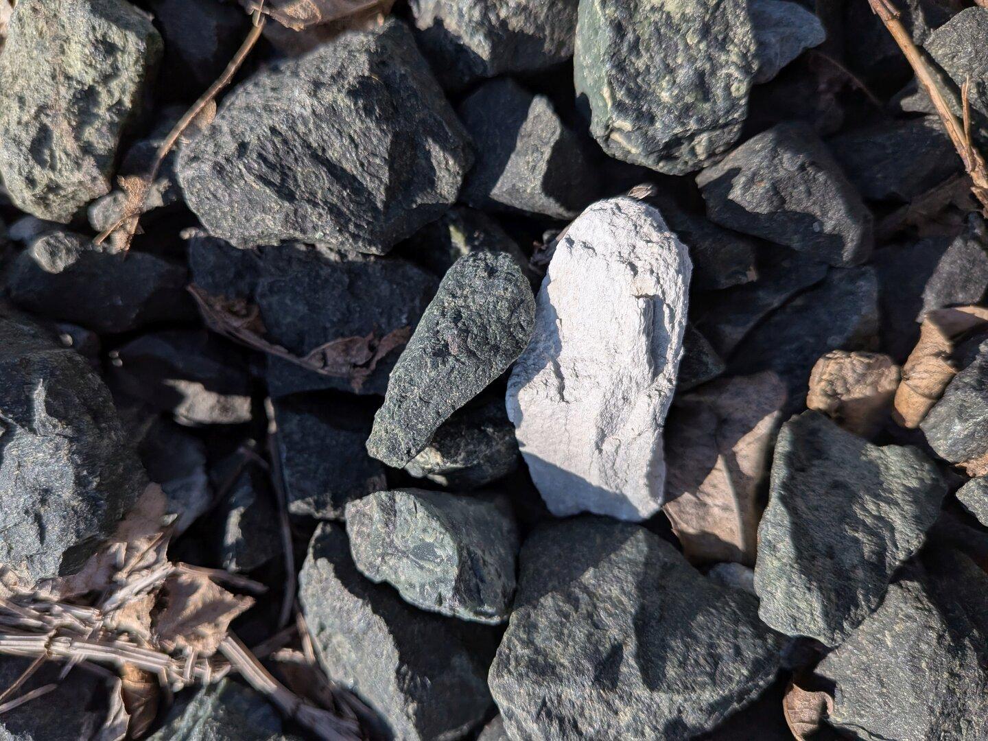 Mehrere dunkle Steine mit einem auffällig hellen Stein in der Mitte, umgeben von trockenen Blättern und Zweigen.
