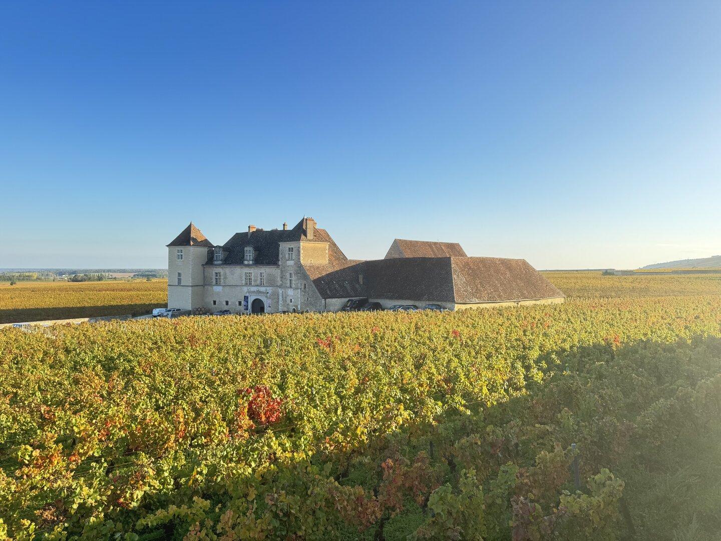 Mehr als Wein: 5 gute Gründe für Burgund