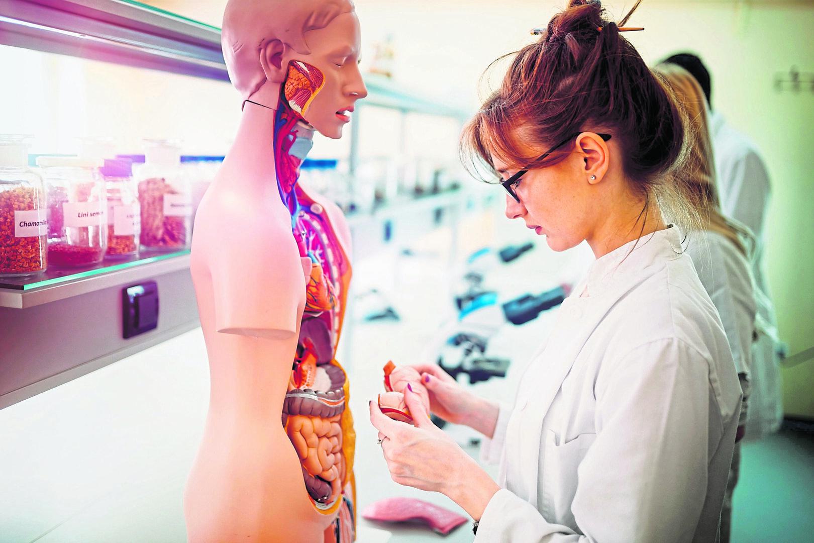 Land Burgenland kappt Medizin-Förderungen