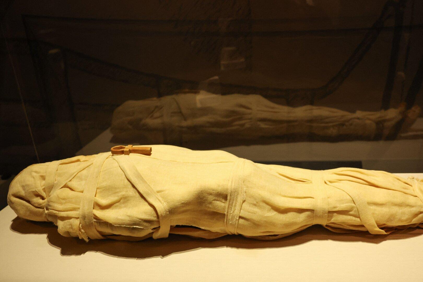 Homer-Papyrus in Mumie: Sensationeller Fund in Ägypten