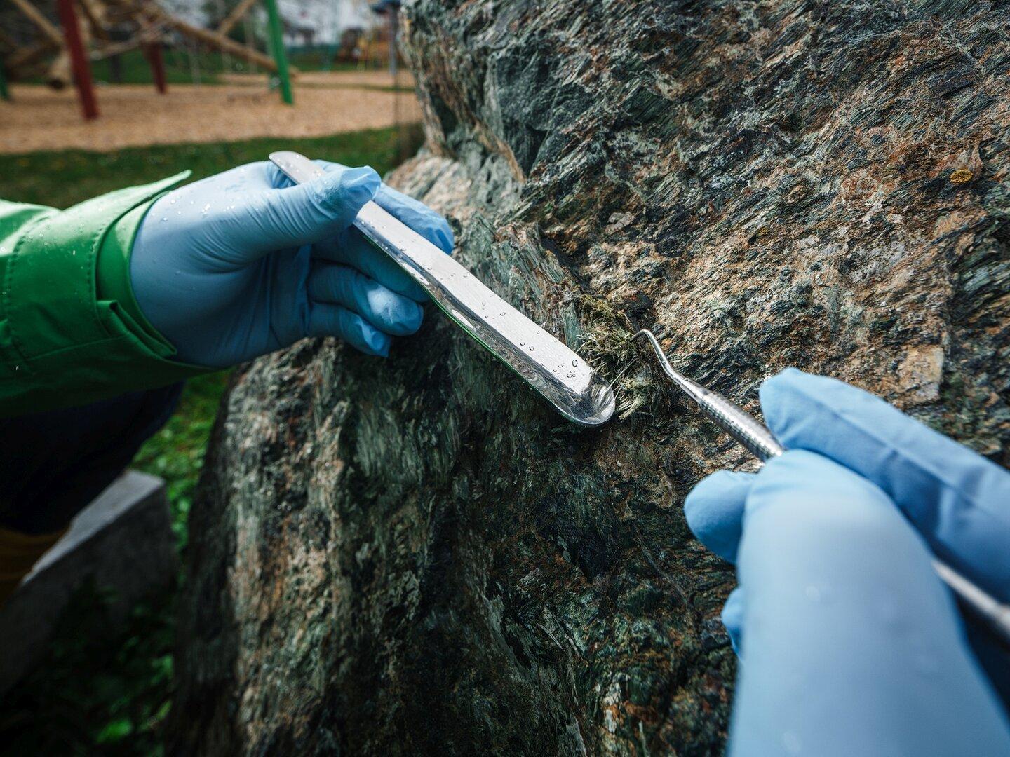 Asbest-Check von Greenpeace: Nur ein Bundesland handelt