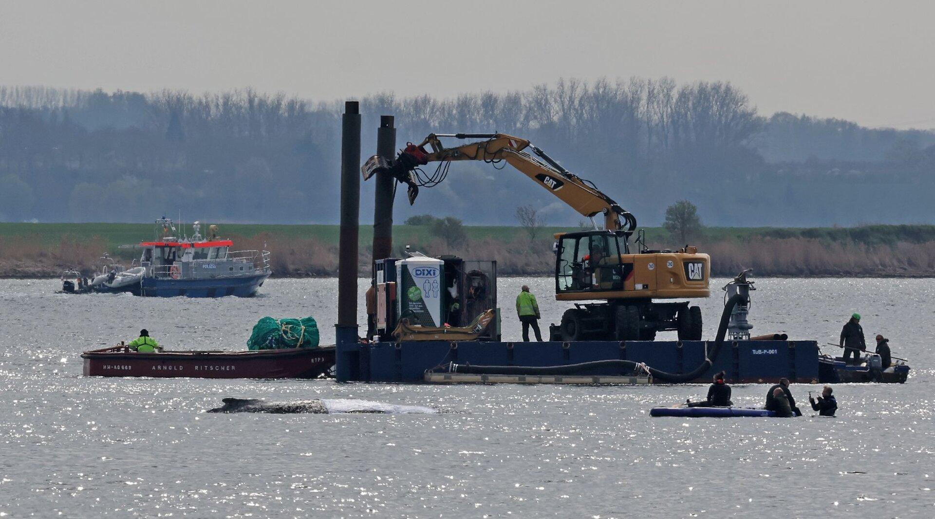 Ach, Timmy und der Zustand Deutschlands