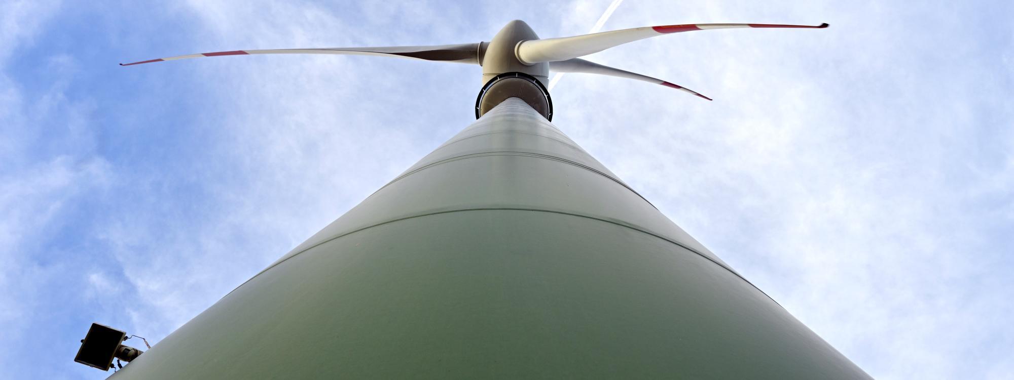 Studie: Zeitweise Abschaltung von Windrädern kann Zugvögel s