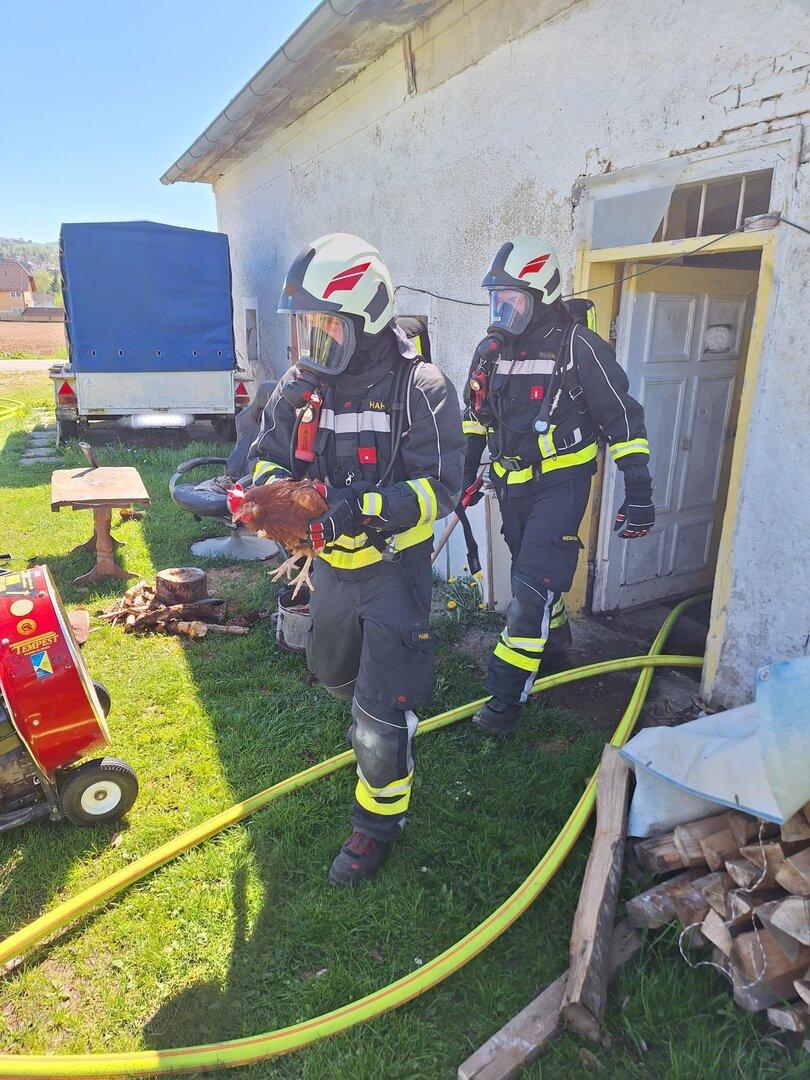 Glückliches Huhn am Wachtberg: Feuerwehr als Tierretter bei Brand