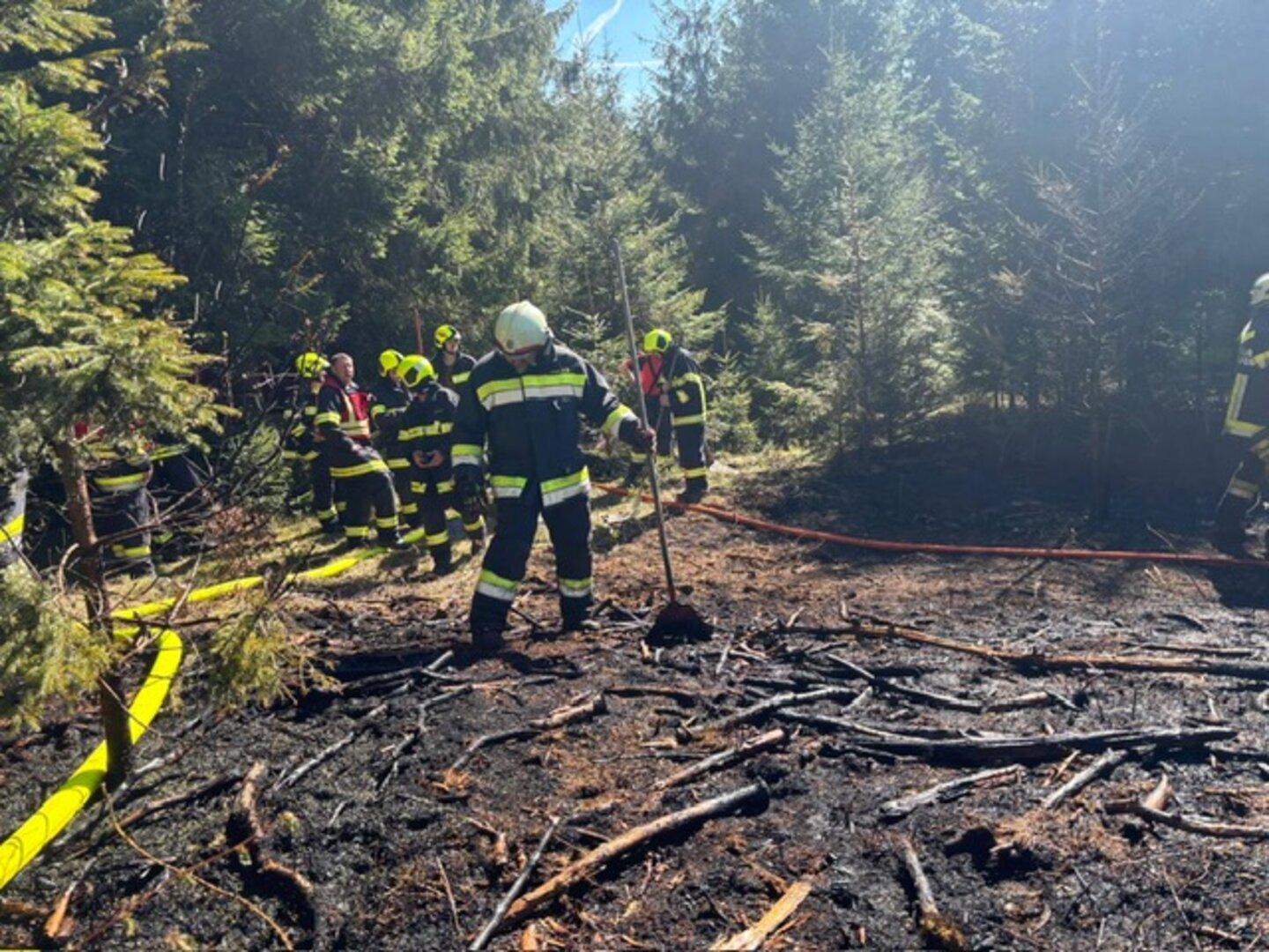 Waldbrand in Krumau: Feuerwehren mit 220 Kräften im Einsatz