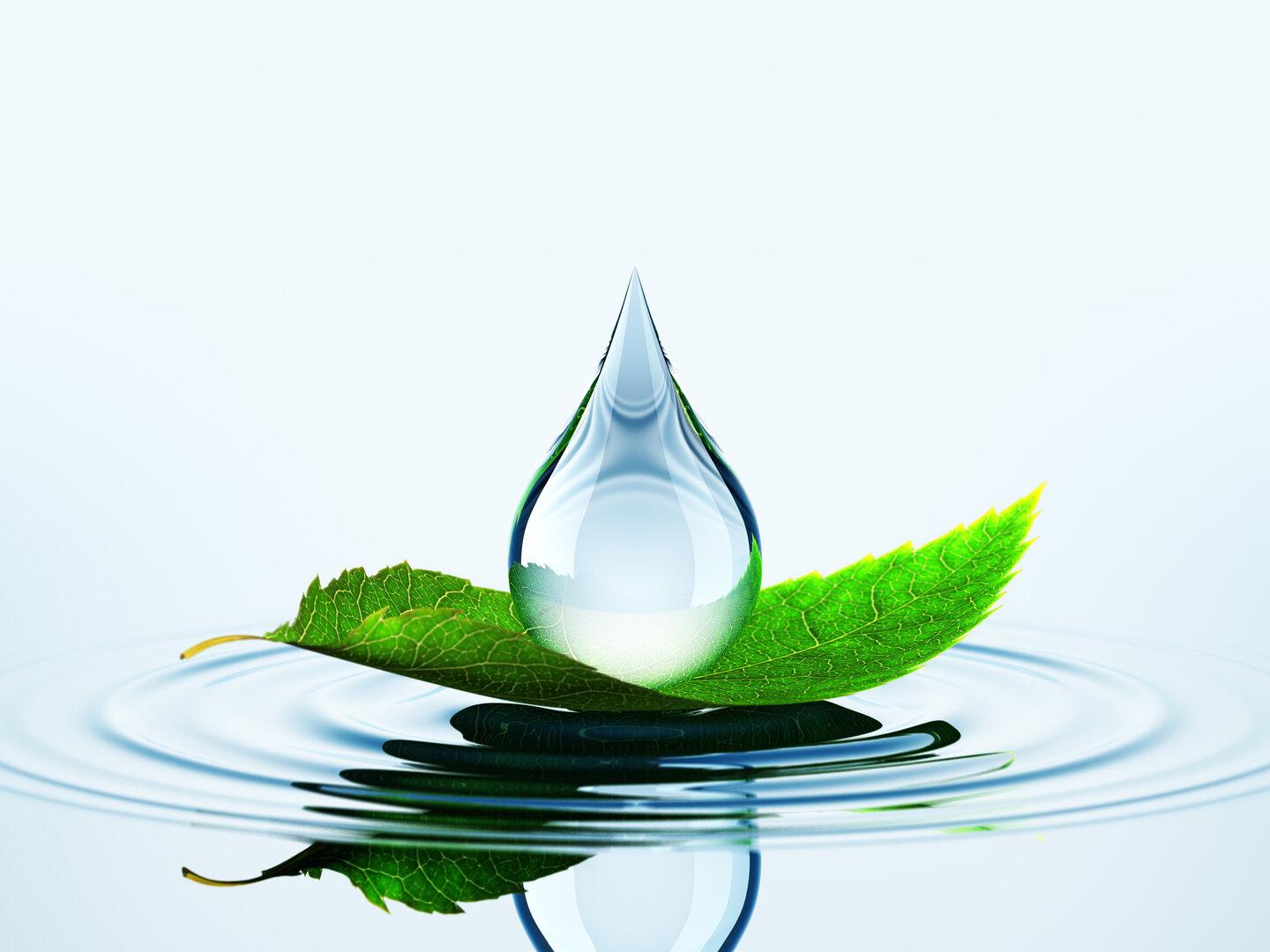 Im Kreislauf der Reinheit:  Wie Wasser eine zweite Chance bekommt