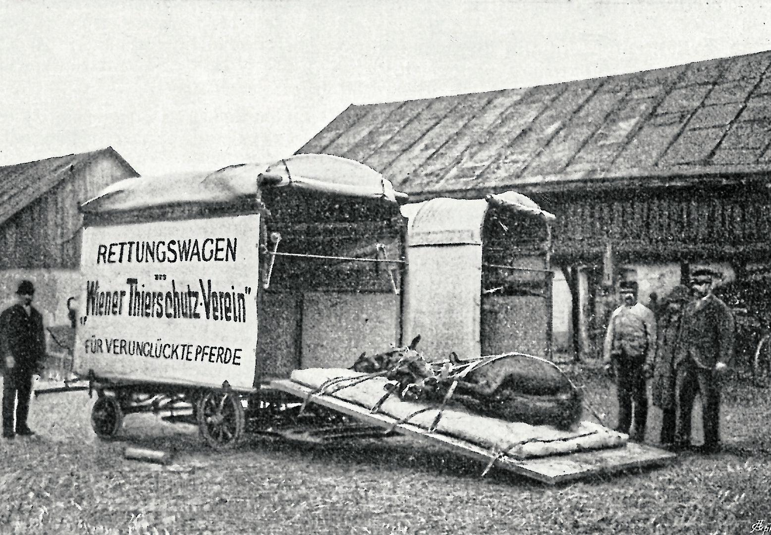 Von Affenbabys und Arbeitspferden - wie der Tierschutz in Österreich entstand