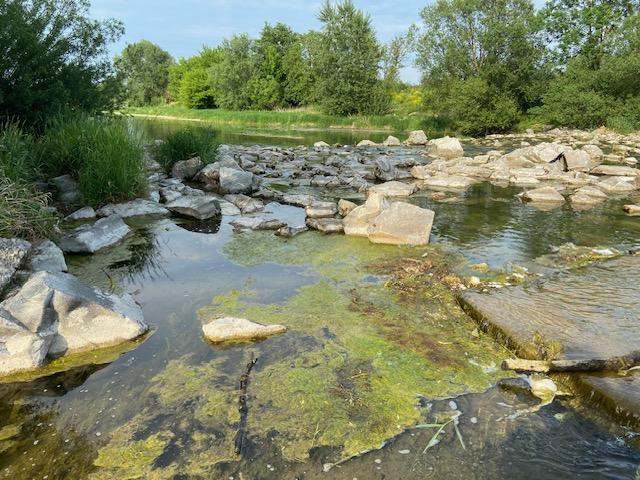Drama an der Traisen: Großeinsatz nach Sprung ins Wasser