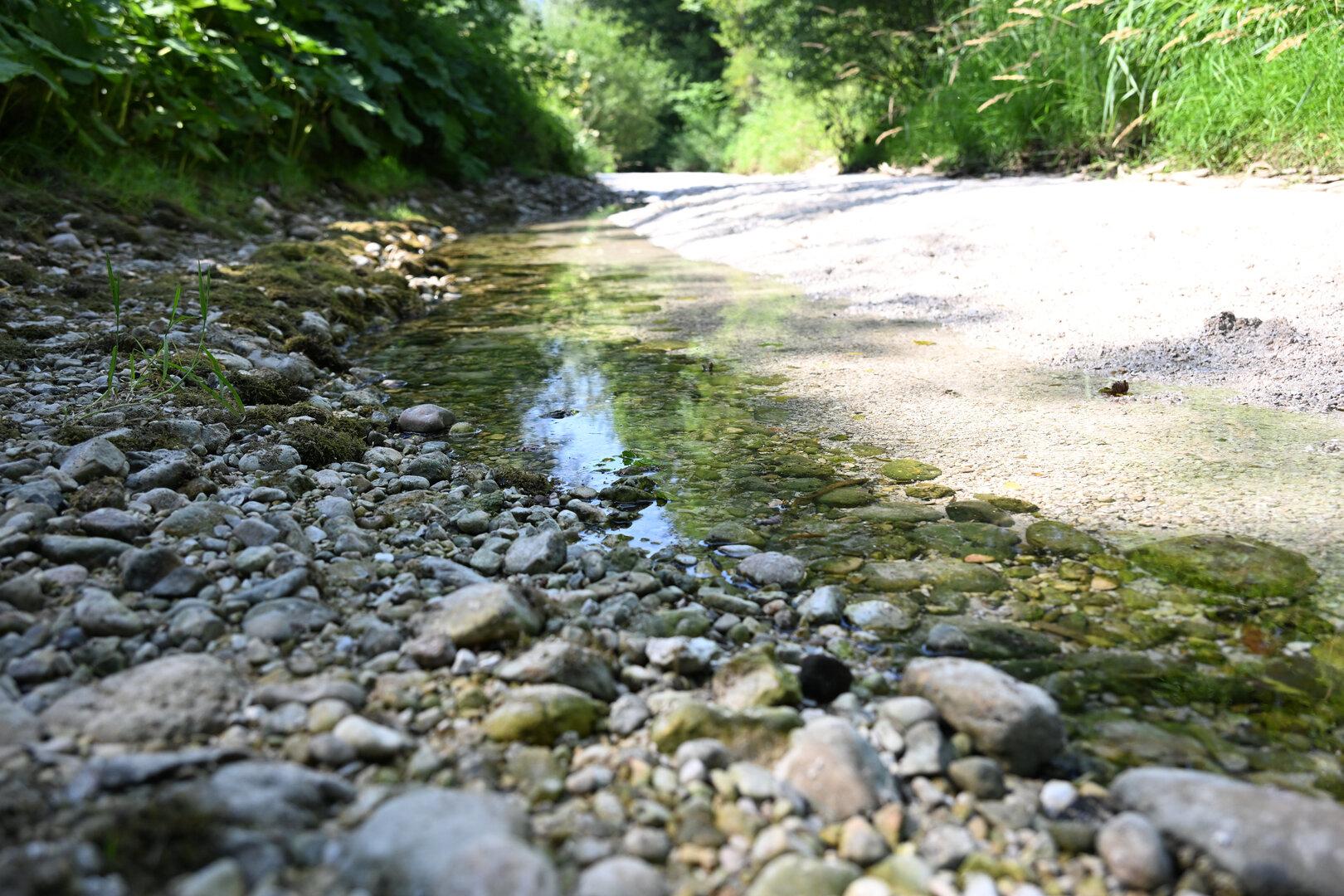 Trinkwasser in Österreich wird weniger: So stark sinken die 