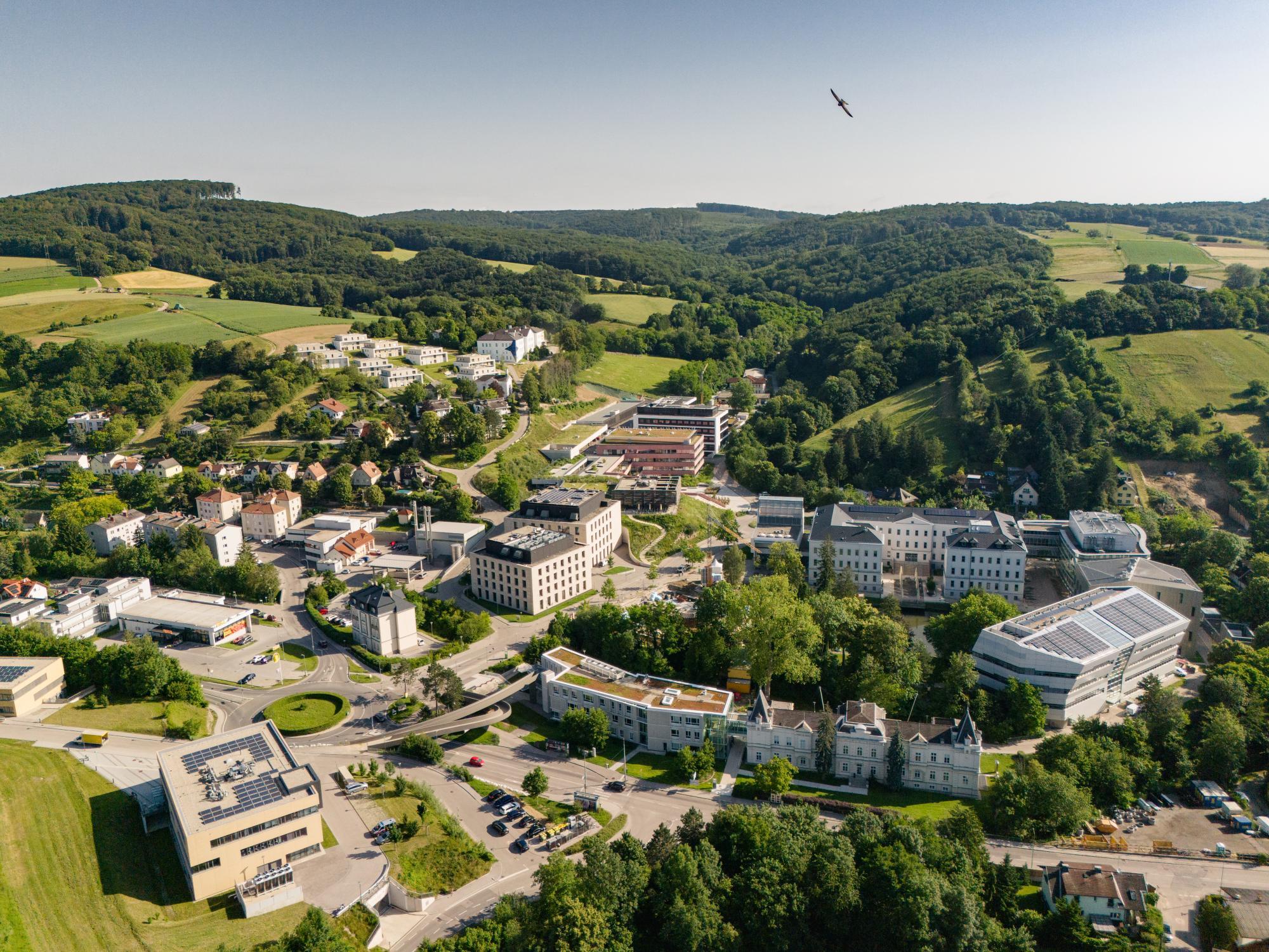 Vom Scherbenhaufen zum Wunder von Klosterneuburg: 20 Jahre ISTA