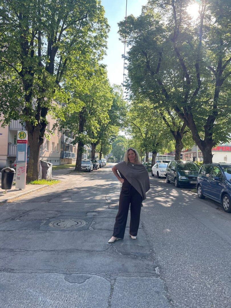 Empörung um Allee-Fällung mitten in St. Pölten
