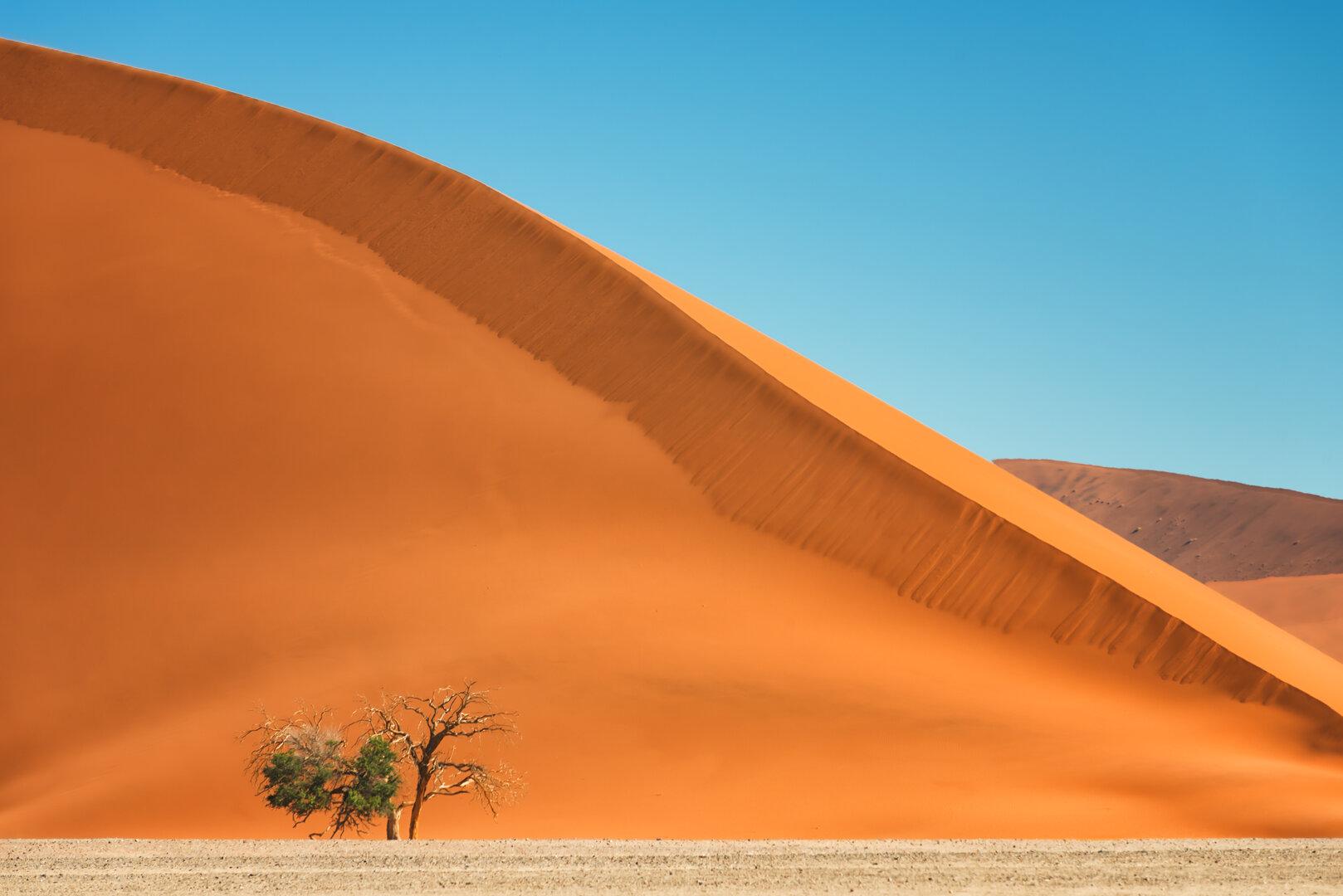 Flugzeugabsturz in Namibia: 3 deutsche Touristen gestorben