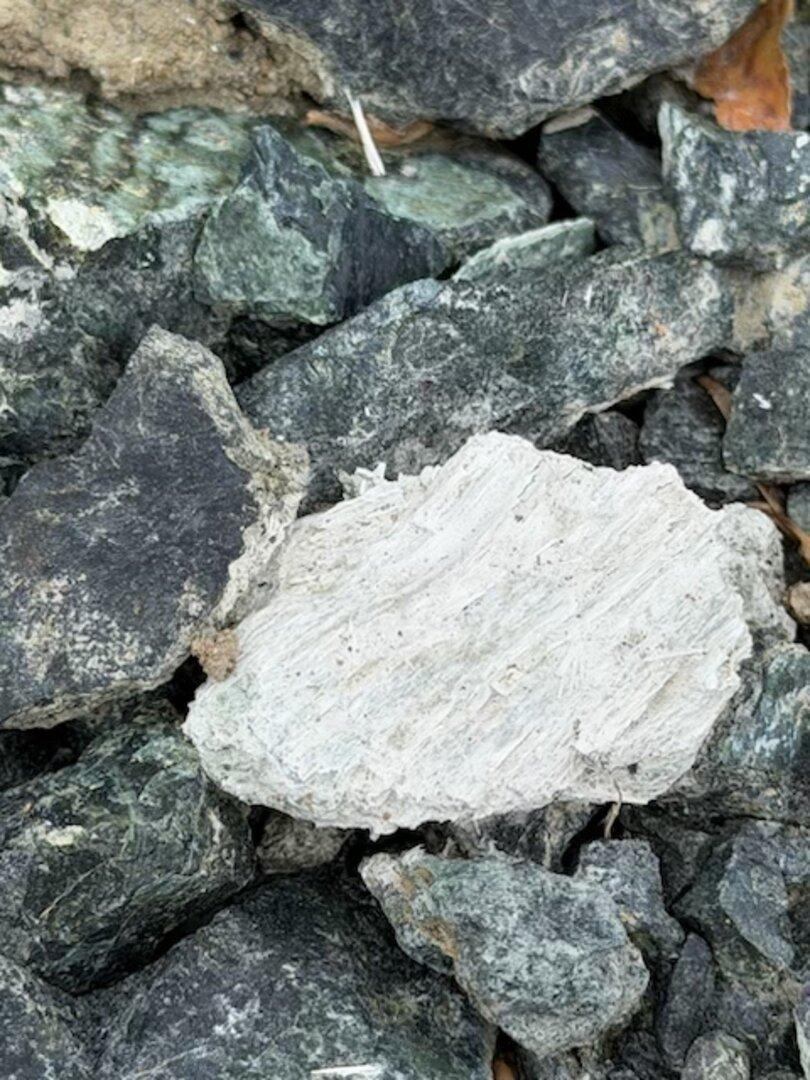 Mehrere dunkle Steine mit einem auffälligen, faserigen, weißen Stein in der Mitte.