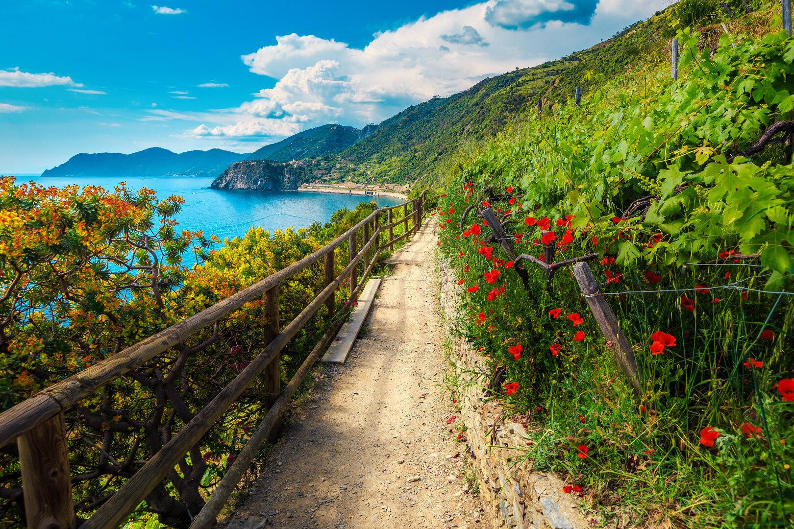 Italien: Cinque Terre Wanderweg bietet Meerblick und Genuss