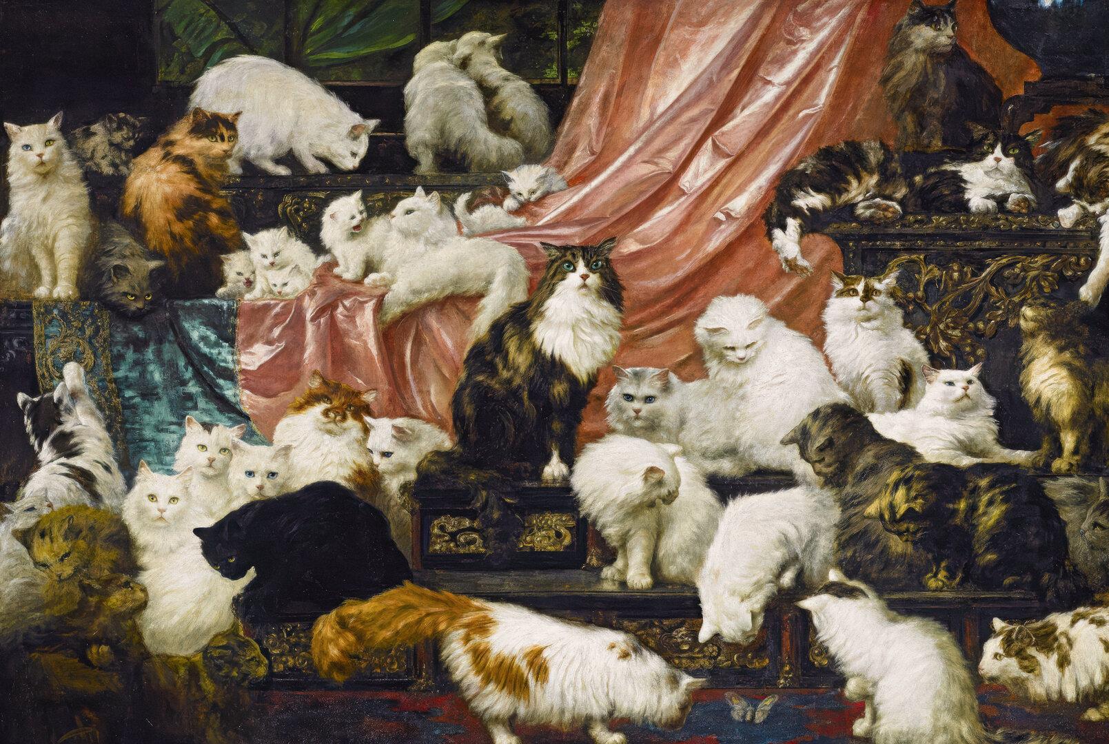 Katzen: Die schicken Stars von Politik, Mode und Film