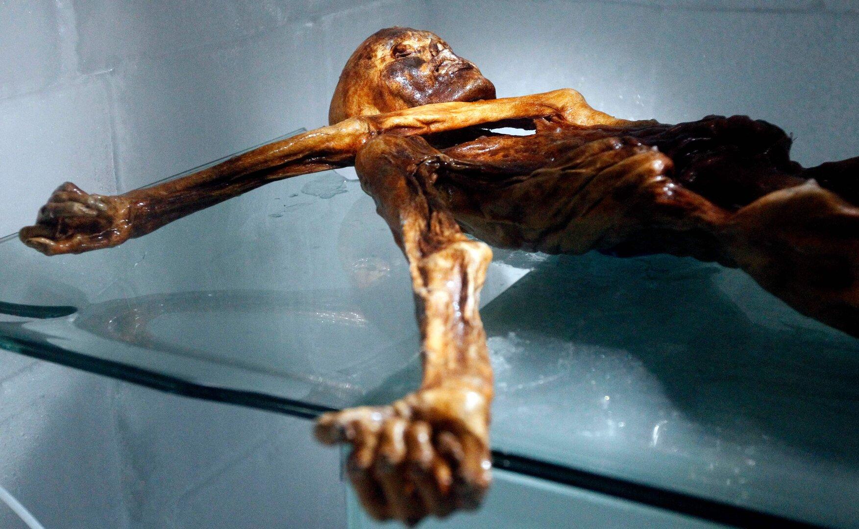 Neue Pilze bei 5300 Jahre alter Mumie Ötzi entdeckt