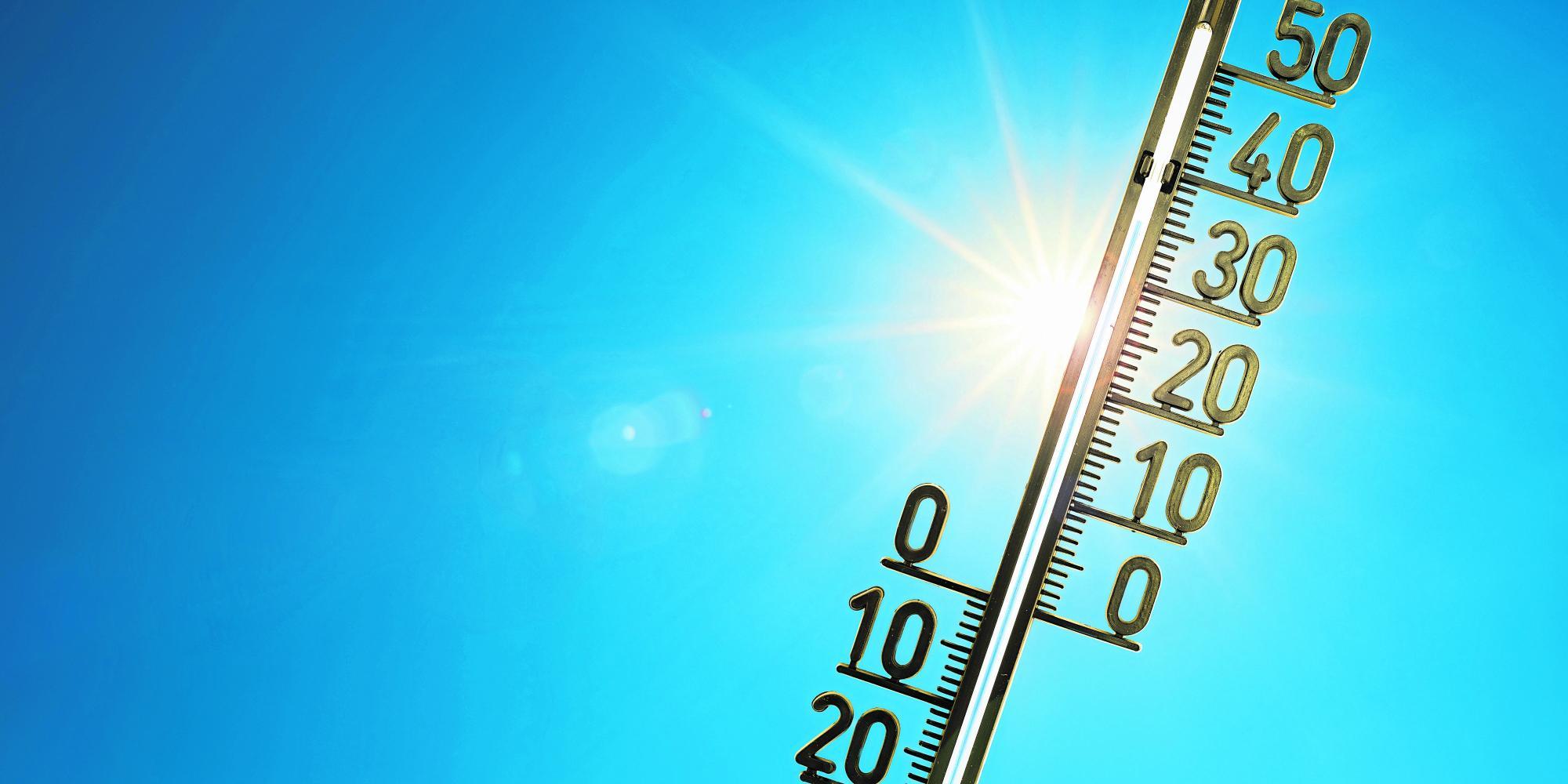 Klimaforscher Maraun zu Auswirkungen von El Niño für Österreich