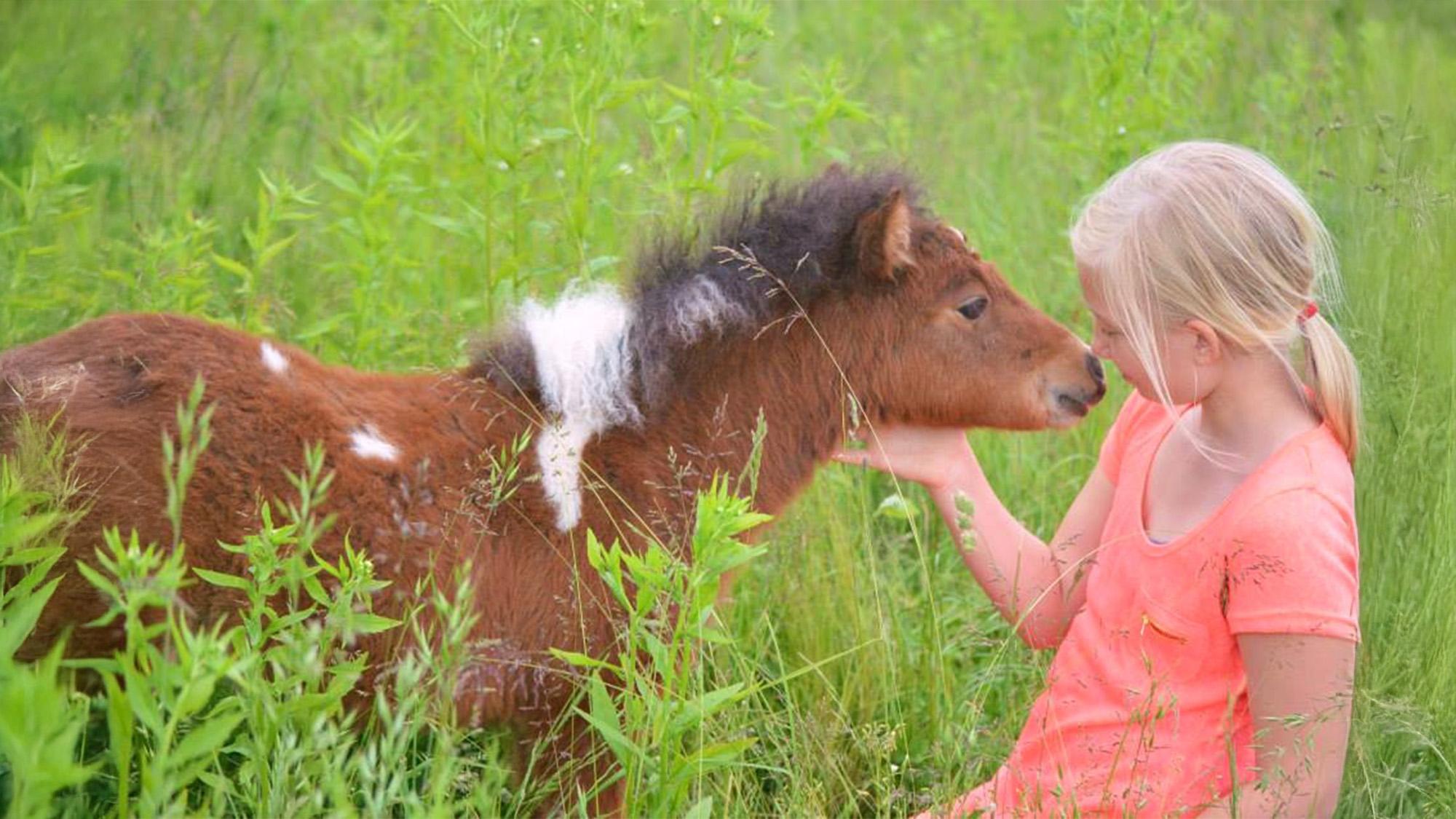 Lernen ohne Leistungsdruck: So stärkt das Schützinger-Wissenszentrum Kinder
