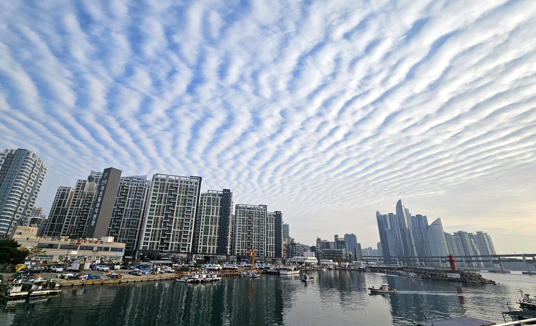 Wien und das Welterbe: Der Weg nach Busan
