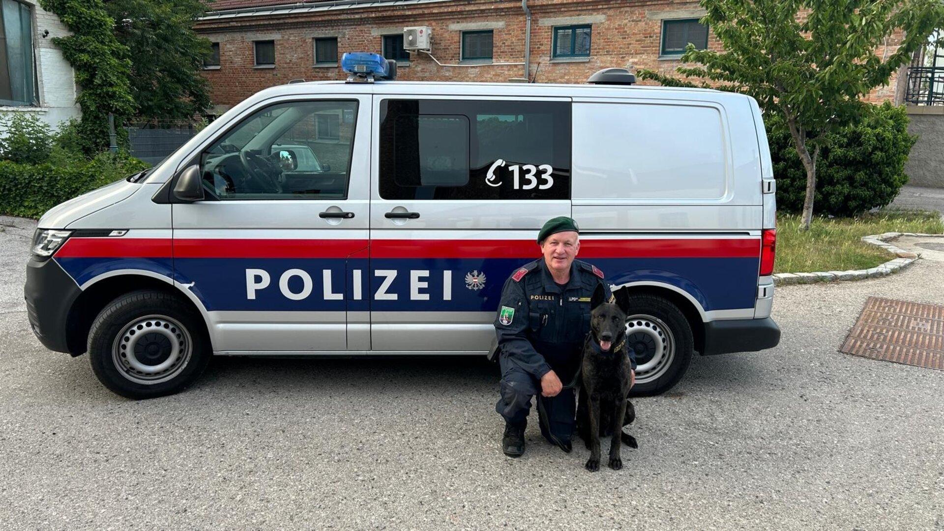 Flucht aus Gefängnis in NÖ: Polizeihund Nox stellte Häftling