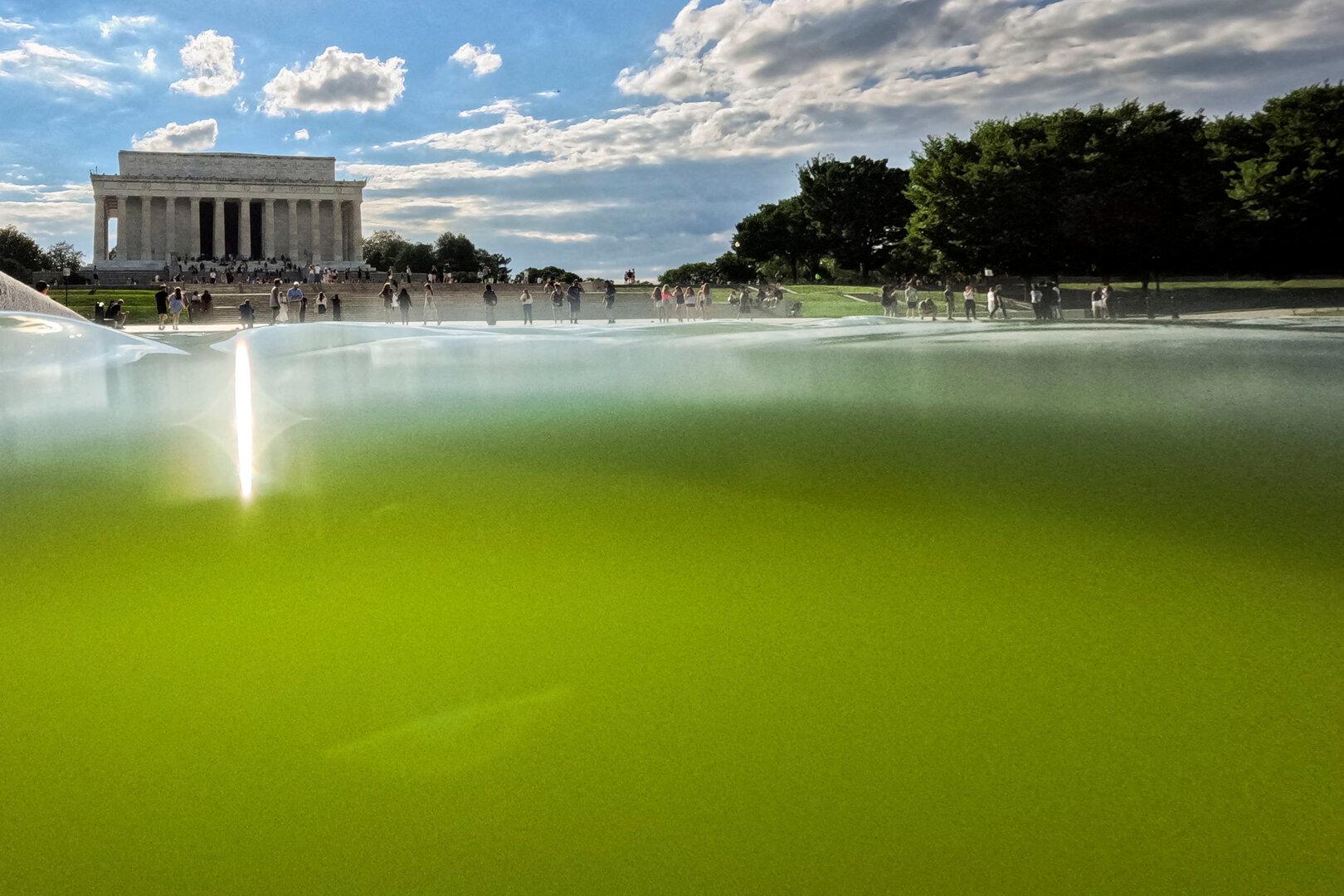 Farbe blättert ab: Trumps Renovierung des Reflecting Pool scheitert