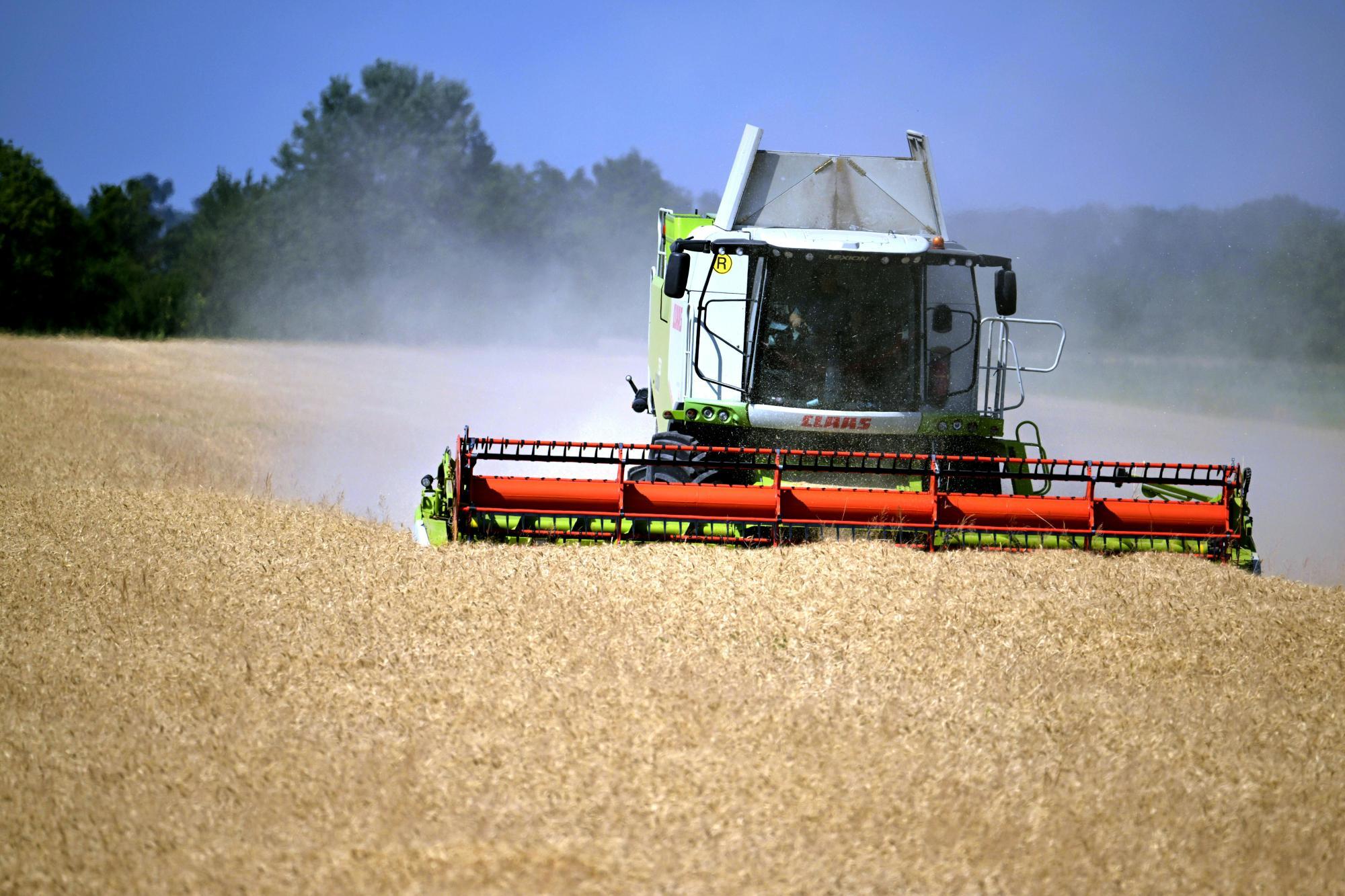 Ernteausfälle: Dürre trifft NÖ und das Burgenland