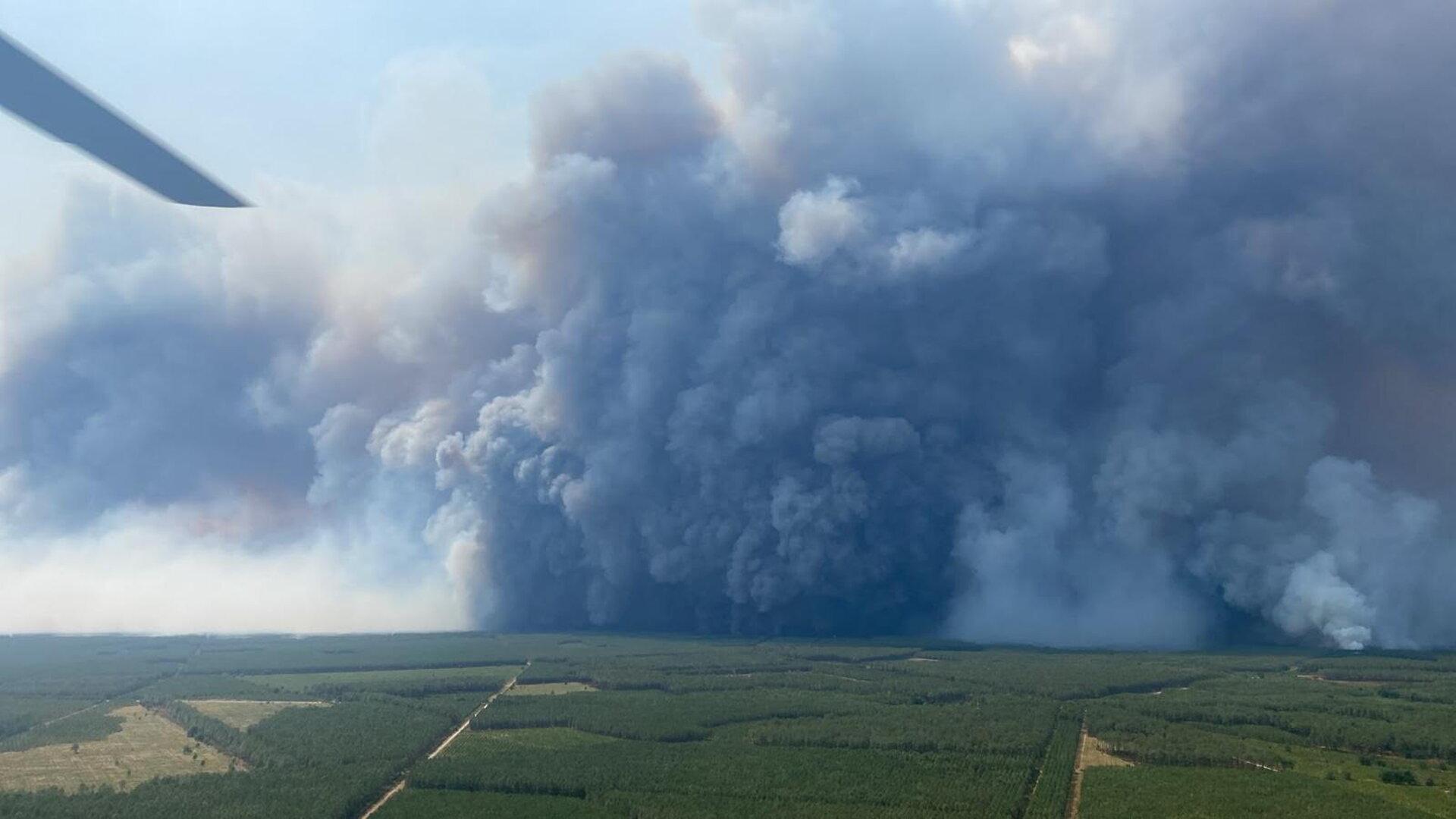 Erstmals in Europa: Waldbrände schüren gefährliche „Feuerwolke“