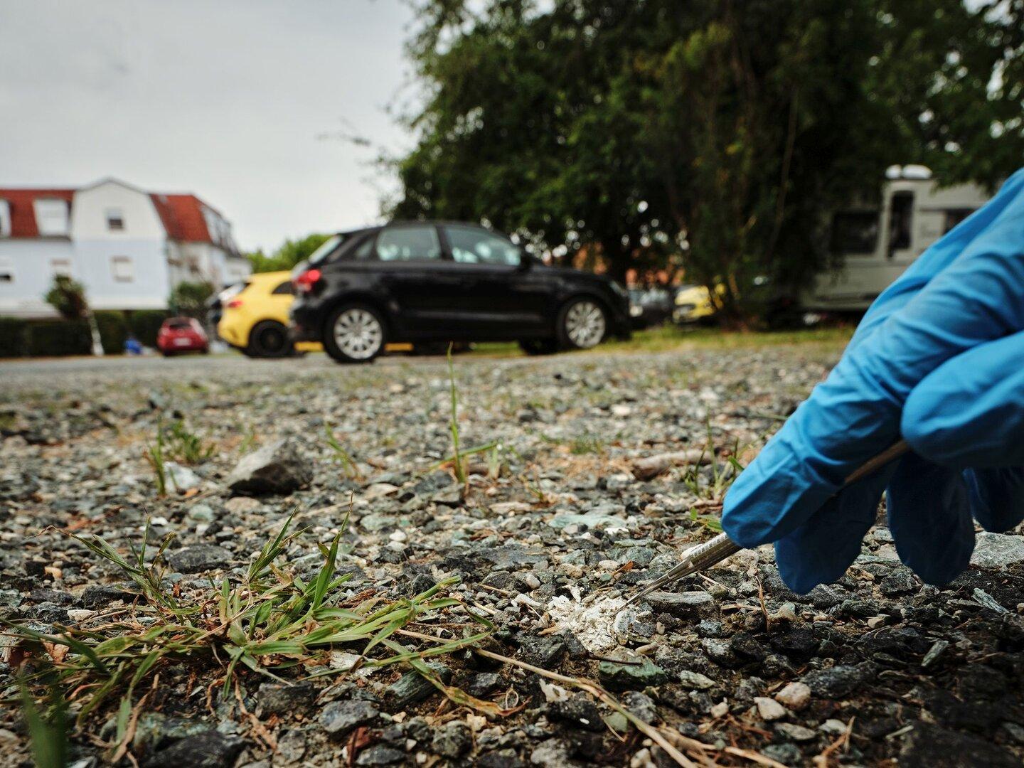 Handschuhhand spritzt weiße Substanz auf den Boden zwischen Gras und geparkten Autos.
