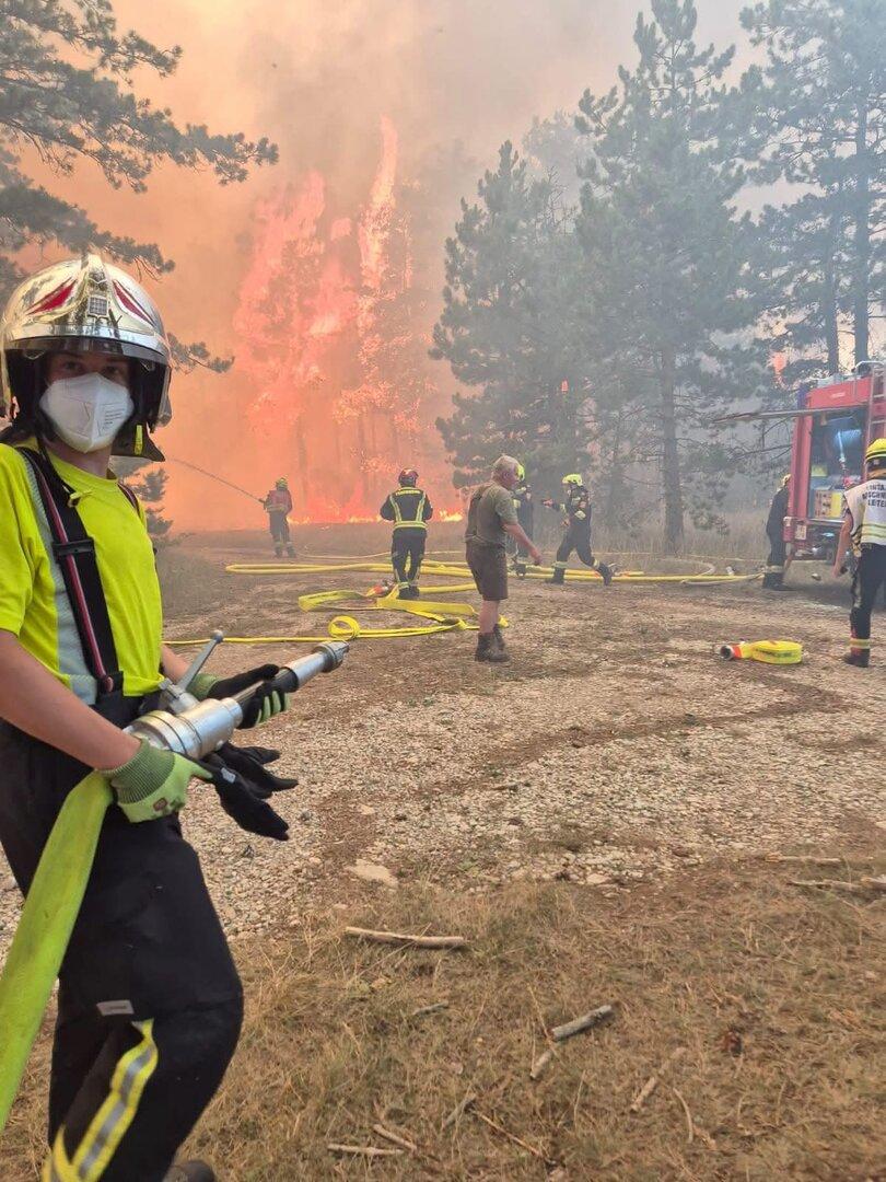 Feuerwehrkräfte bekämpfen einen Waldbrand mit Schläuchen und Ausrüstung, während im Hintergrund Flammen und Rauch aufsteigen.