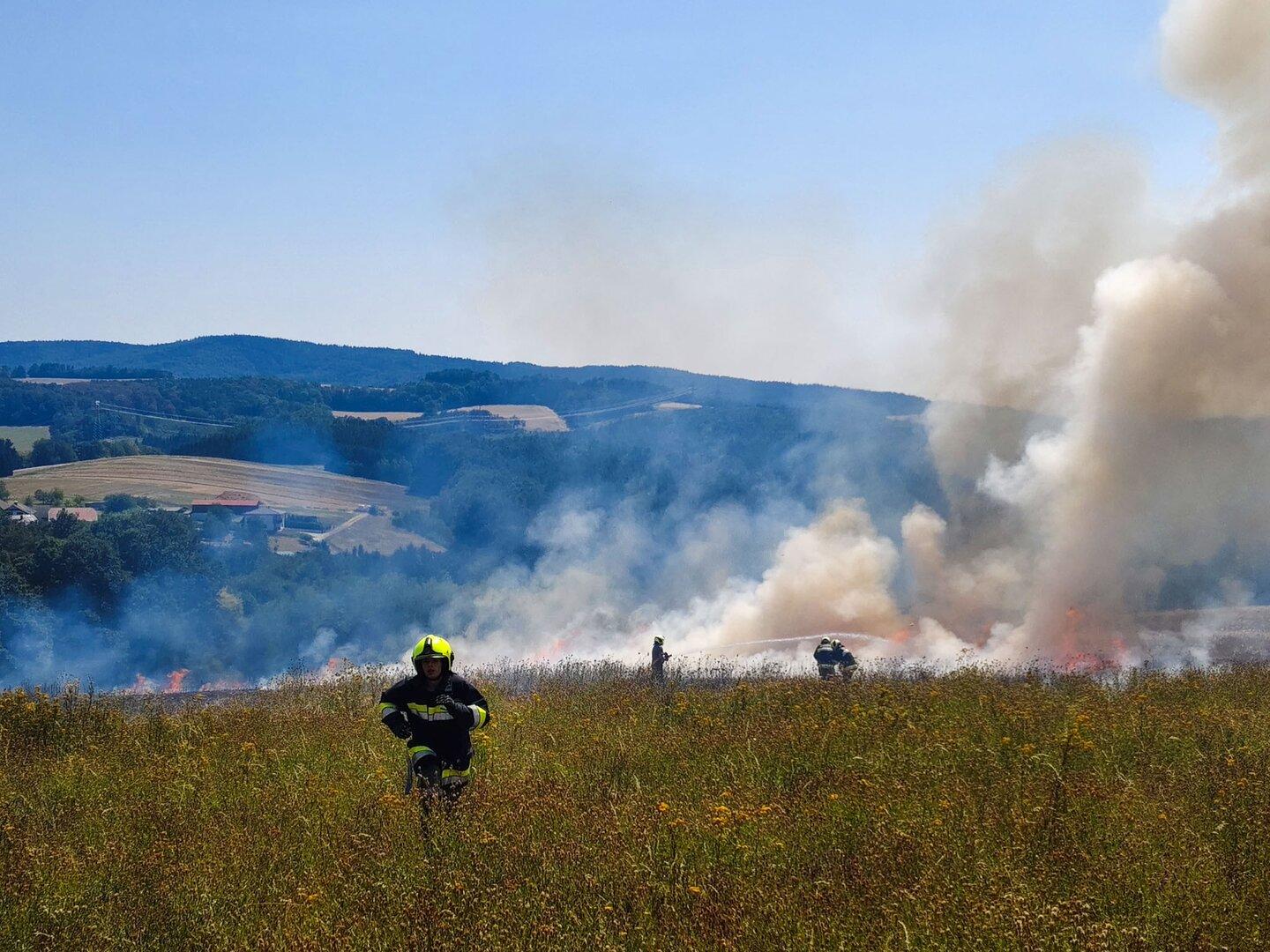 Feuerwehrleute bekämpfen einen Flächenbrand auf einem Feld, dichtes Rauch steigt auf.