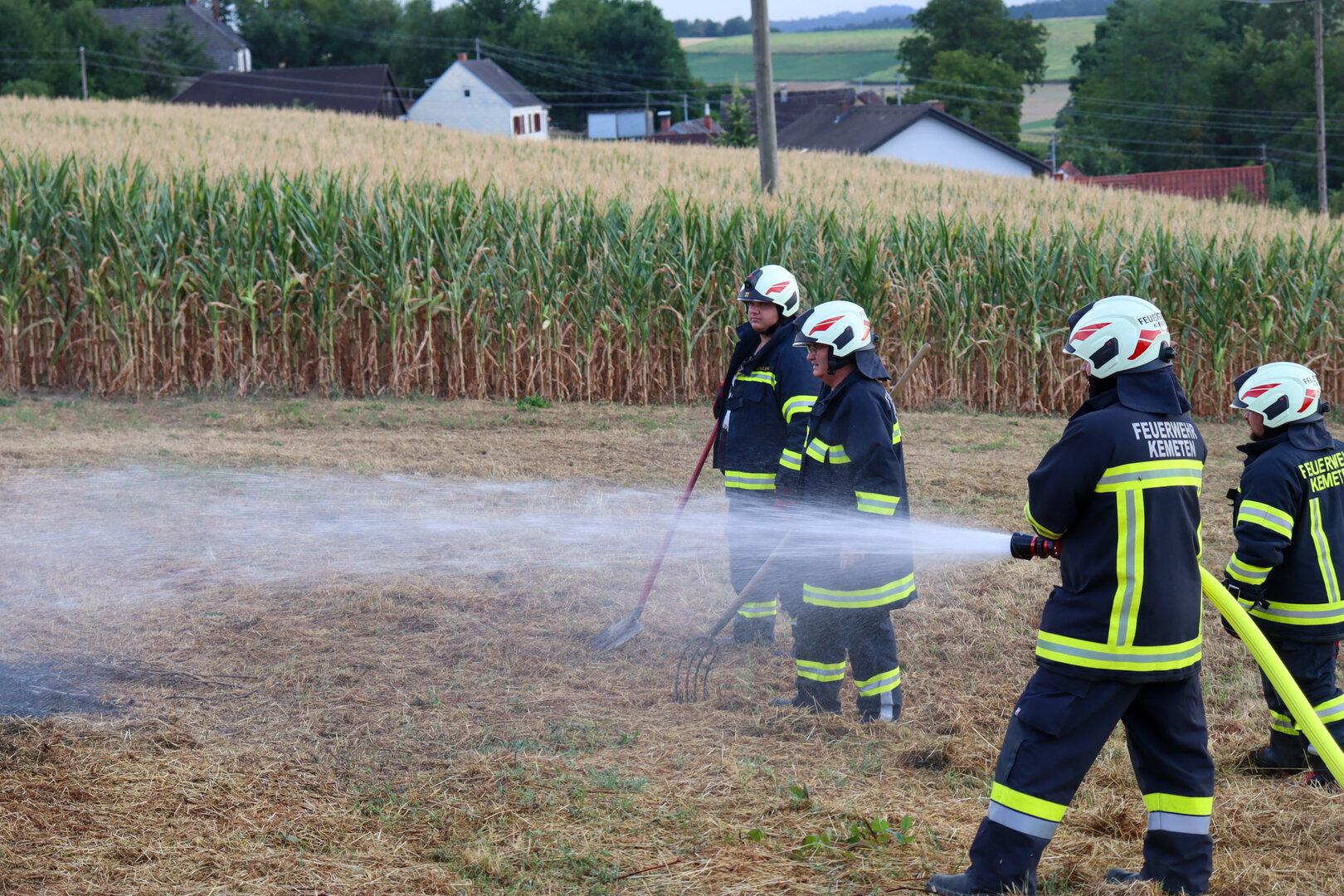 Feuerwehrleute löschen einen kleinen Brand am Feldrand vor einem Maisfeld.