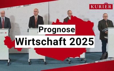 -sterreich-2025-wirtschaftserholung-oder-gefahr-durch-sparma-nahmen